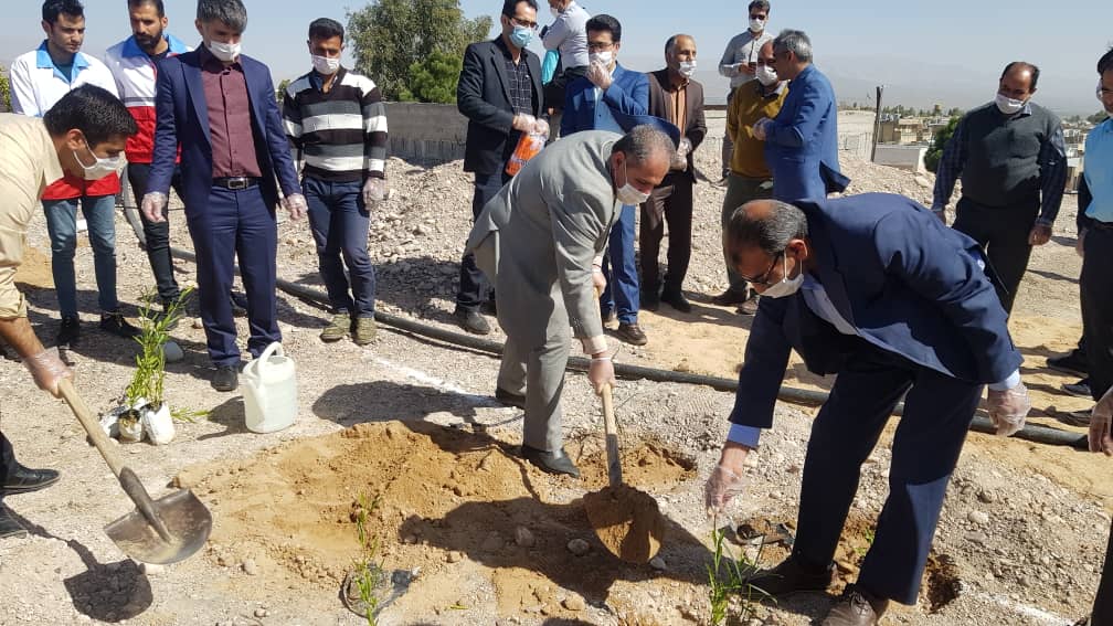 توزیع ۶۰ هزار اصله نهال جنگلی رایگان در شهرستان فسا