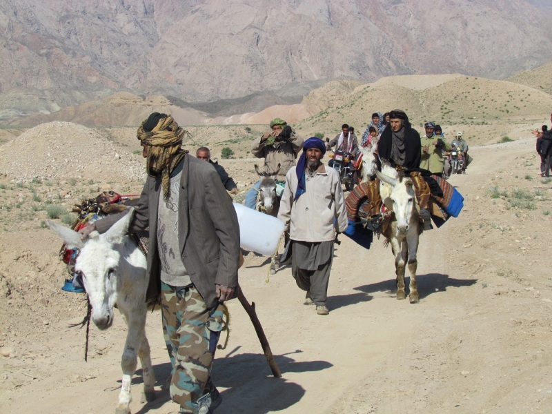 کوچ بهاره عشایر خراسان جنوبی لغو شد