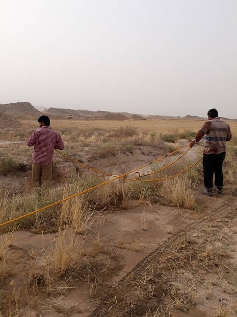 سم‌پاشی بیش از ۳ هزار هکتار اراضی استان بوشهر علیه ملخ‌های صحرایی