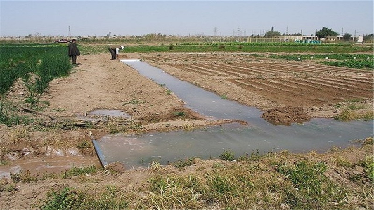 جلوگیری از آبیاری مزارع کشاورزی قزوین با پساب تصفیه خانه‌ها