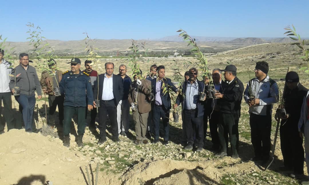 توزیع نهال جنگلی در شهرستان سروستان