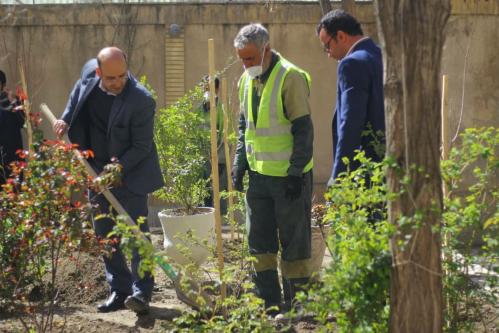 ثبت 60 هزار تقاضای نهال رایگان در هفته درختکاری در مشهد