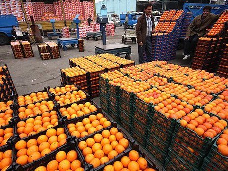 توزیع سیب و پرتقال تنظیم بازاری از فردا