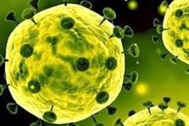 ابلاغ 12میلیارد ریال برای مقابله با ویروس کرونا در استان