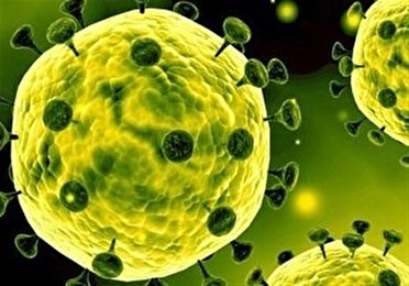 افزایش مبتلایان به کرونا ویروس در آذربایجان غربی
