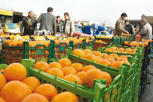 عرضه سیب دماوند و پرتقال تامسون کیلویی ۵۵۰۰ در میادین