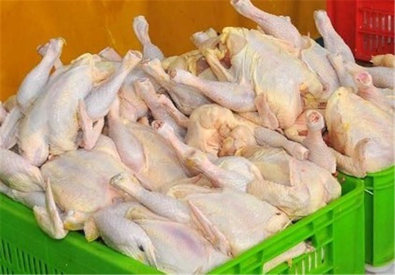 برنامه ریزی برای افزایش ۲۰ درصدی تولید مرغ