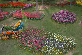 کاشت ۸۰ هزار نشاء گل‌های فصلی برای استقبال از بهار