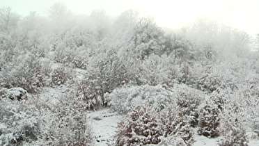 آغاز اردیبهشت با برف و سرما در گلستان