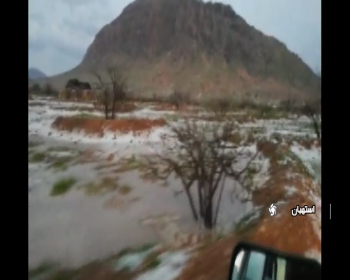 خسارت ۱۲ درصدی تگرگ به انجیرستان دیم جهان در  استهبان