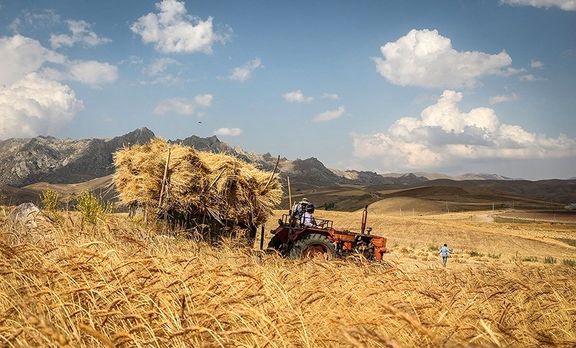 عبور خرید گندم مازاد بر نیاز کشاورزان از یک میلیون تن