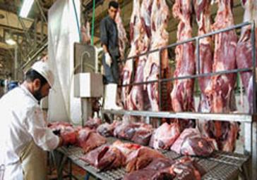 آغاز توزیع گوشت منجمد از امروز در شیراز