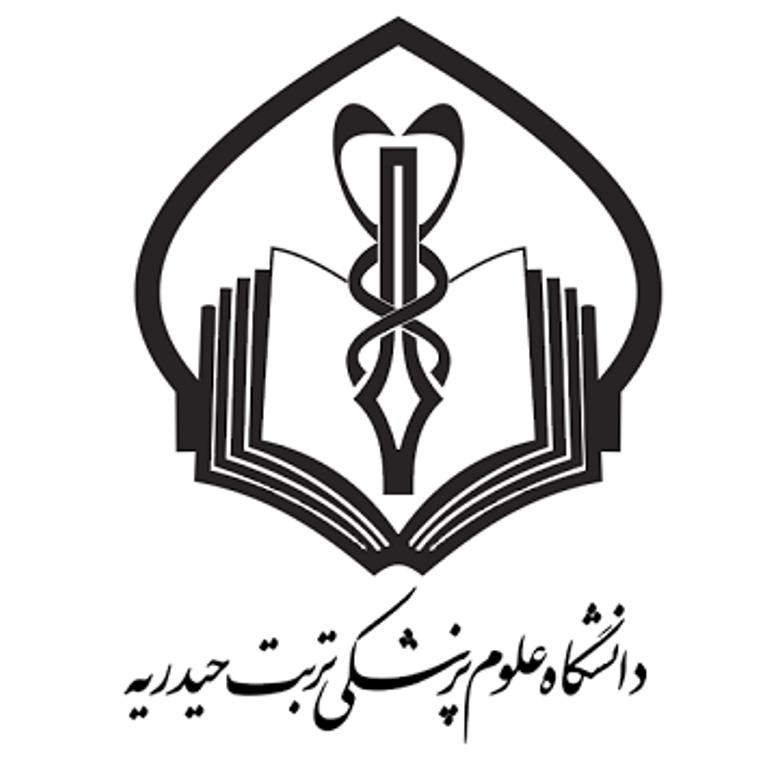 درخشش محقق تربت حیدریه ای در جشنواره کشوری شهید مطهری
