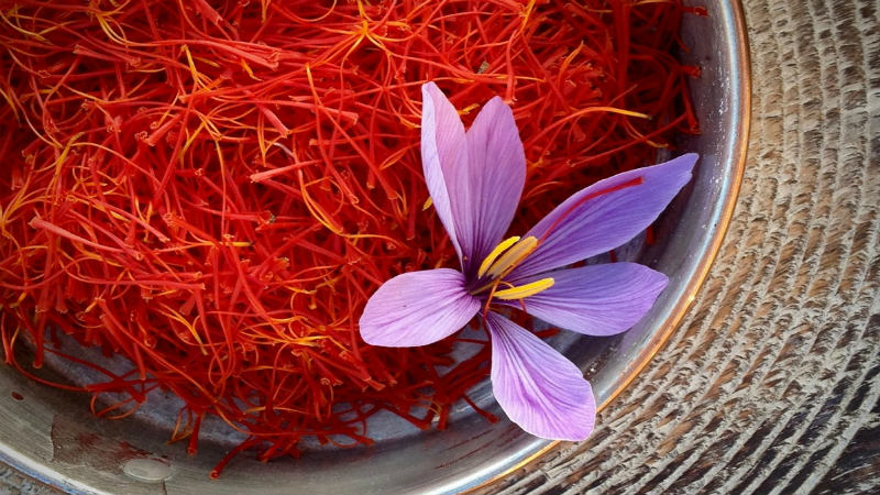 پیش‌بینی تولید ۵۰۰ تن زعفران در کشور