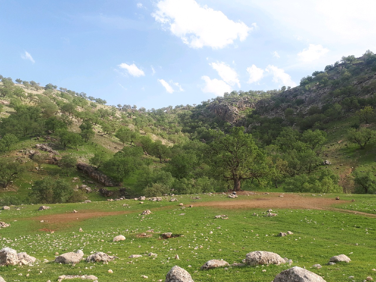 تنگ سروک بهمئی شمالی در جنوب کشور