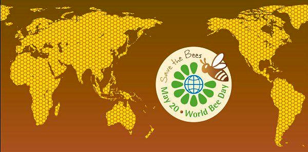 برگزاری دومین جشنواره روز جهانی زنبور عسل