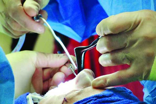 همایش بین المللی آموزش اعمال جراحی بینی و سینوس