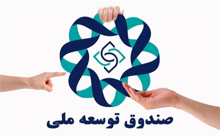 نرخ سود ریالی صندوق توسعه؛ ۱۱ درصد