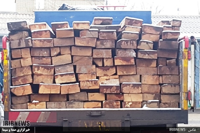 کشف 220 اصله چوب آلات قاچاق جنگلی در نیر