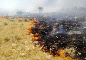 آتش سوزی در سه هکتار از مراتع روستای 