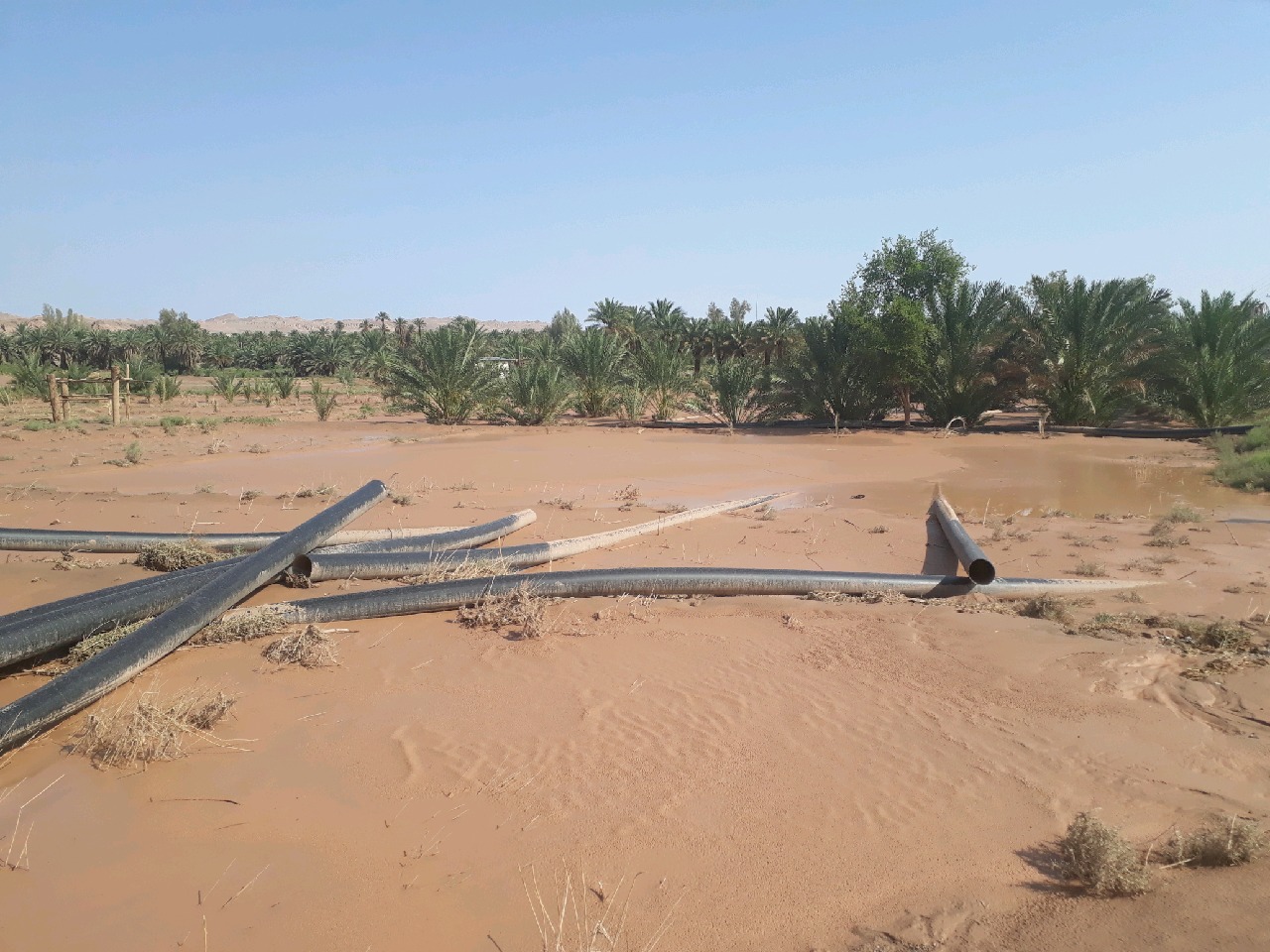 خسارت سیلاب به چند روستای گلباف کرمان