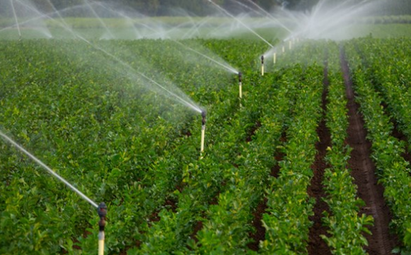 تجهیز بیش از دو میلیون هکتار از اراضی کشاورزی به سیستم نوین آبیاری