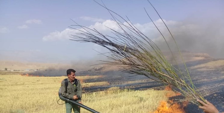 آتش سوزی اراضی ملی و حاشیه شهر دهدشت