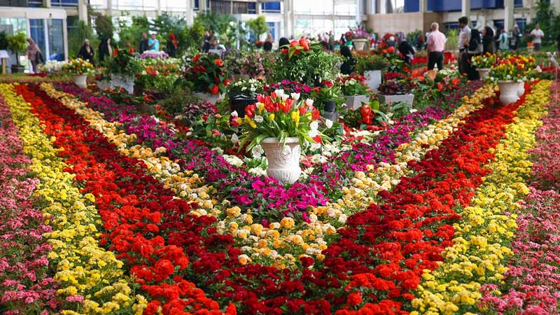 گشایش هجدهمین نمایشگاه گل و گیاه در مشهد