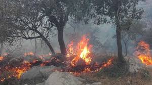 مهار آتش در دره نرگسی کازرون