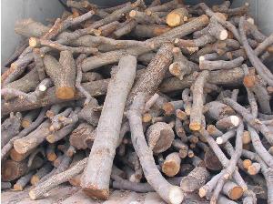 كشف بیش از ۲۶ تن چوب قاچاق در تويسرکان