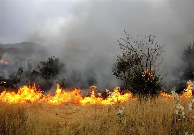 آتش سوزی مزارع روستای حسین آباد فسا