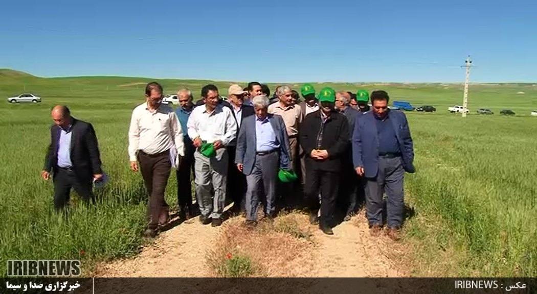 اجرای طرح ایکاردا در21هزار هکتار ازمزارع آذربایجان شرقی