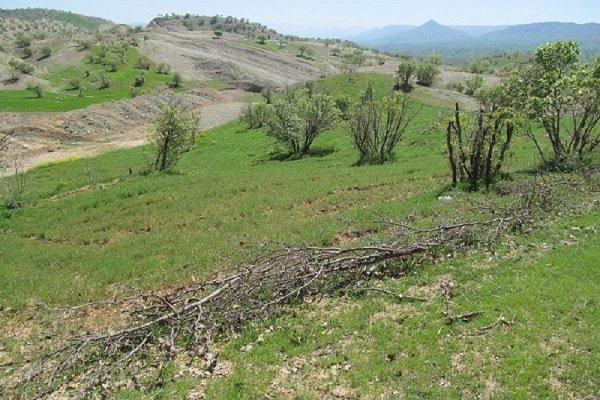 واگذاری ۷۰۳ هکتار از اراضی ملی قزوین برای اجرای طرح‌های کشاورزی