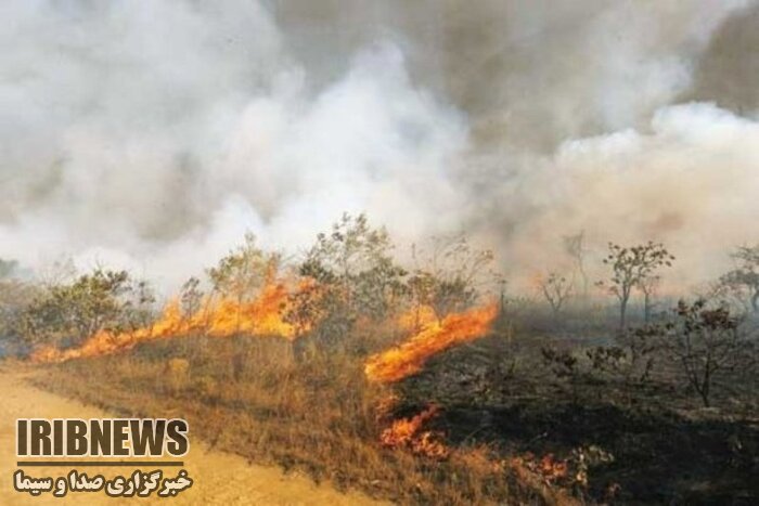 آتش بی احتیاطی در دامن 15 هکتار از مراتع مهاباد