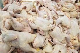 کشف ۲ هزار و ۲۰۰ کيلوگرم مرغ قاچاق در بهار