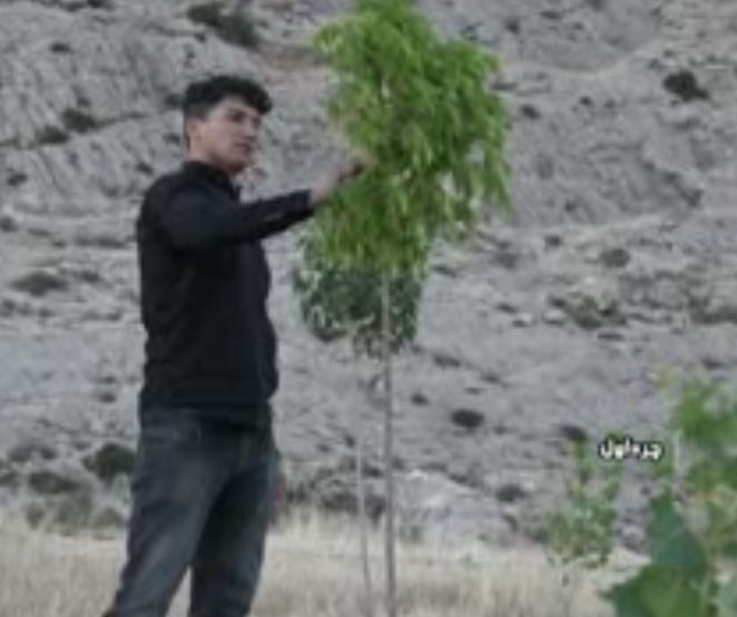 تلاش جوان روستایی برای احیاء طبیعت