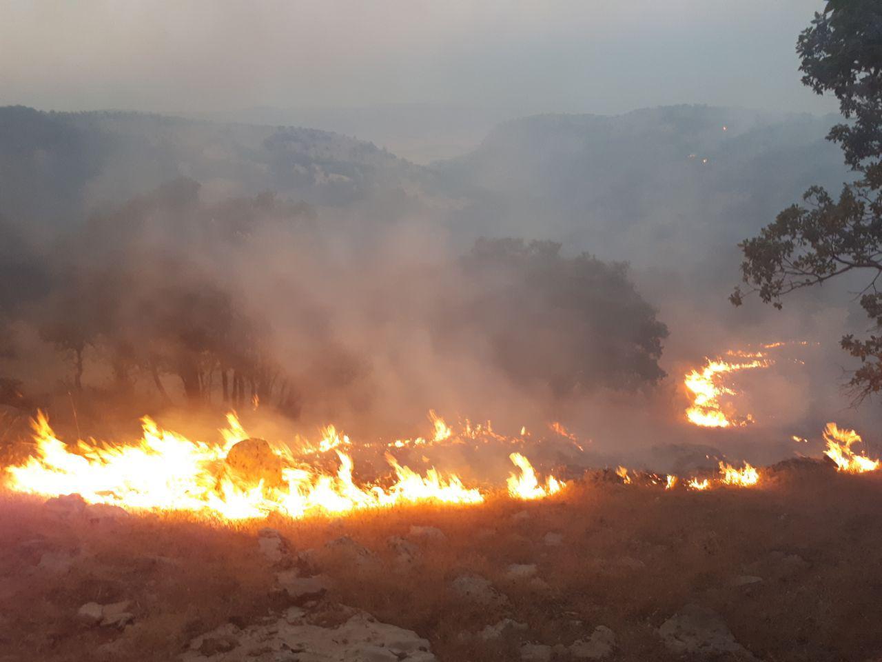 آتش سوزی در دو نقطه از مراتع کوه نوح دالاهو دوباره زبانه کشید