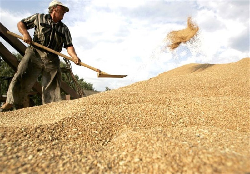 خرید بیش از یک میلیون تن گندم در خوزستان