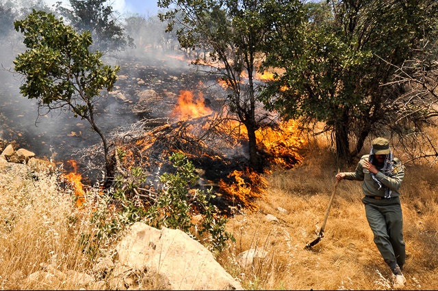 آتش‌سوزی در باغستان قزوین