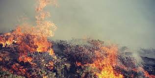 آتش سوزی 13 هزار متر مربع از اراضی منابع طبیعی دهاقان