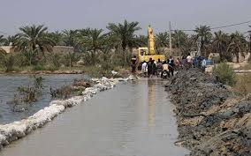 خسارت سیل به  16 هزار هکتار از نخلستان‌های خوزستان