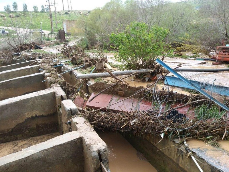 خسارت ۴۸ میلیارد تومانی سیل به مزارع پرورش ماهی استان