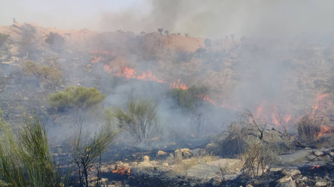 مهار آتش سوزی عرصه‌های منابع طبیعی شهرستان مهر