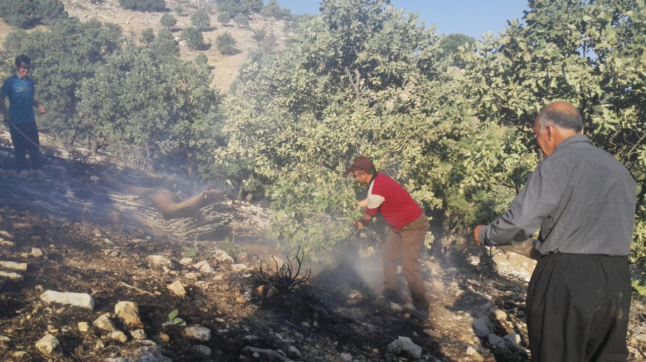 ۱۰ هکتار از مراتع مشجر گیلانغرب در آتش سوخت