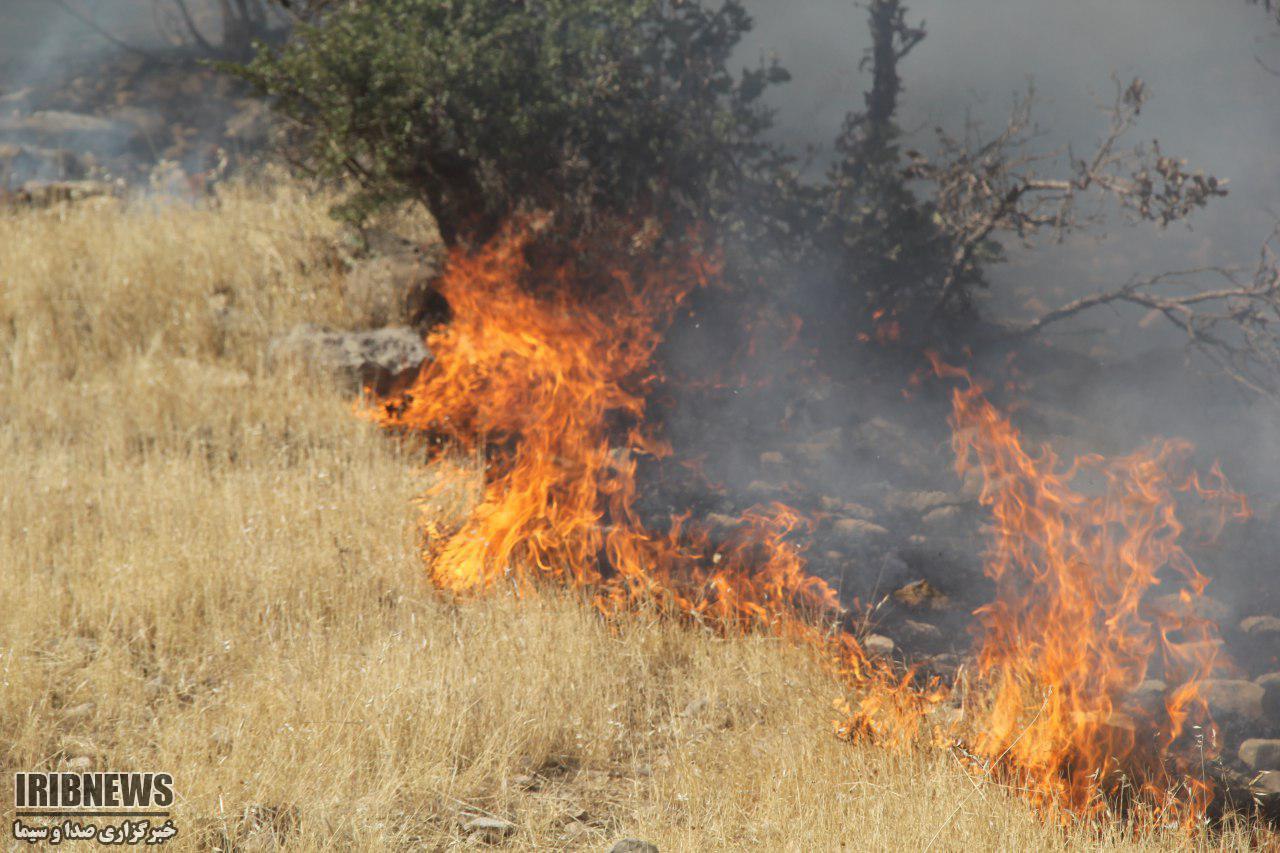 وقوع آتش سوزی در مراتع و زمین‌های کشاورزی سرپلذهاب
