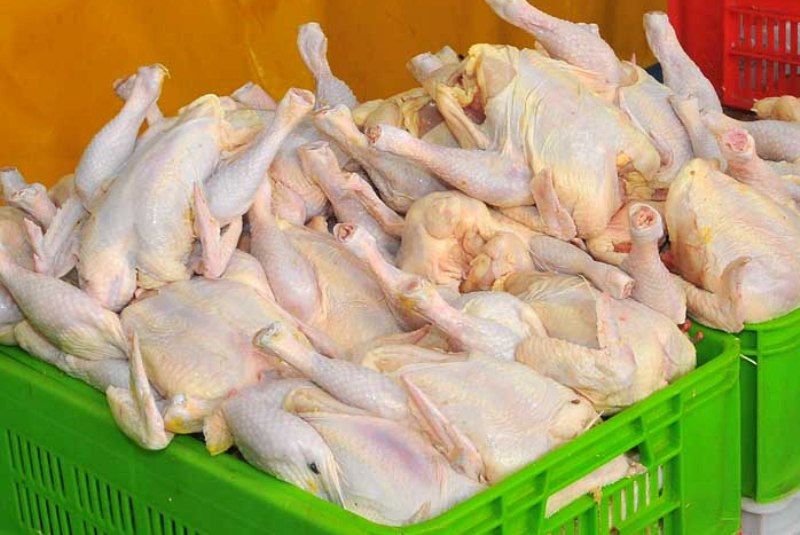 کمبود و نبود عرضه مرغ در بازاریاسوج