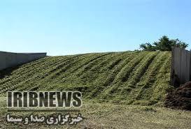 برداشت سالانه بیش از ۳۹ هزار تن علوفه از مراتع شهرستان مهاباد