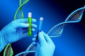 افزایش ذخایر ژنتیکی بانک ژن محیط زیست بوشهر