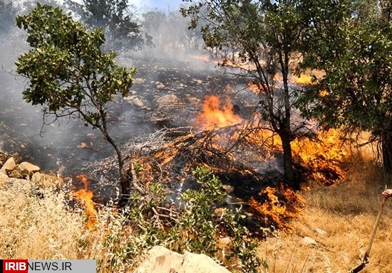 شعله ور شدن آتش در جنگلهای مشجر گیلانغرب