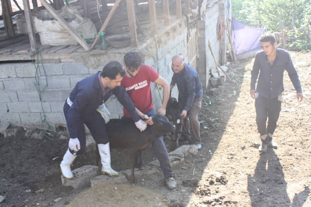 برگزاری اردوی جهادی بسیجیان در اطاقور لنگرود